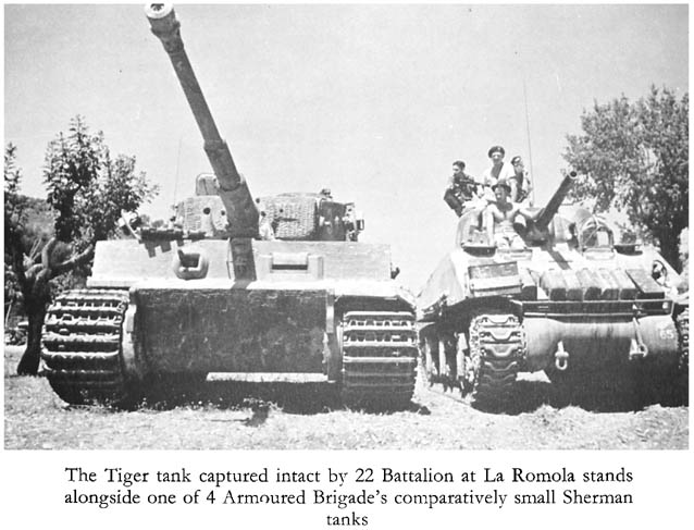 Tiger v Sherman.jpg