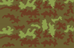 French_Camo33_Thumb.png