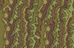 French_Camo45_Thumb.png