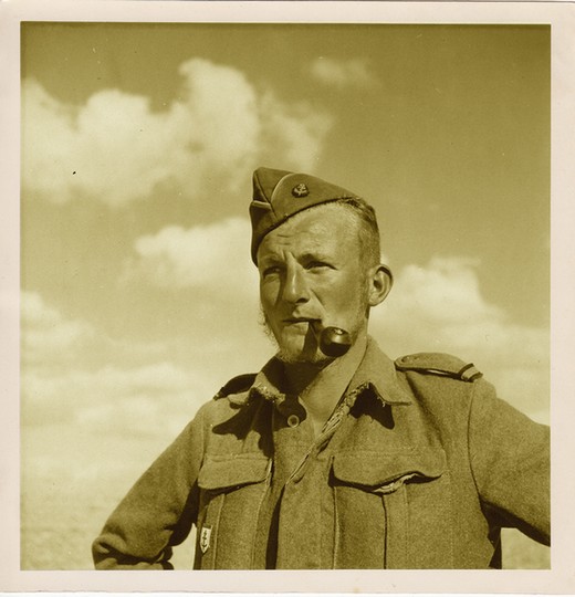 Original royalty-free file that I used to create the non-commercial portrait offered here.