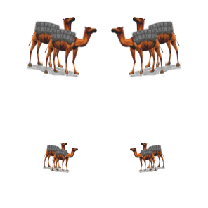Camel Transport2.png