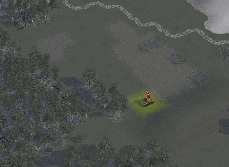 bug01.jpg