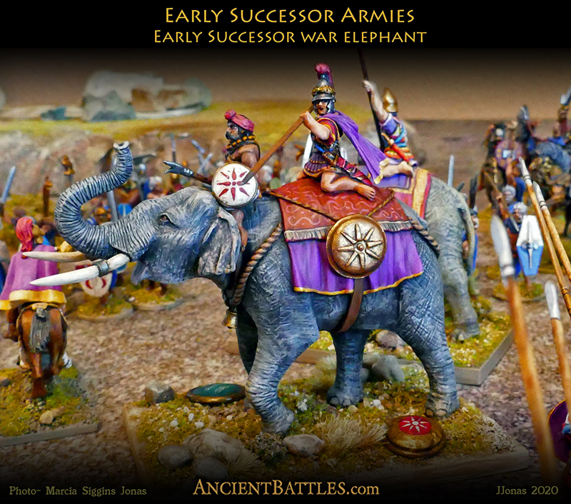Early_Successor_War_Elephant_JJonas_2018_001 small.jpg