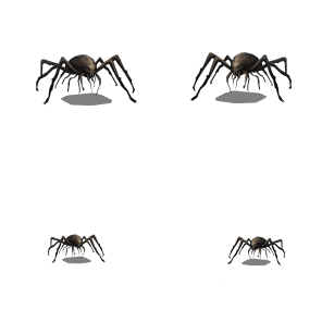 ArachnoSolo.png