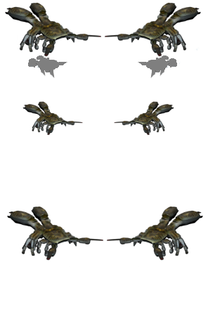 Halflive2 FlyerTrans.png