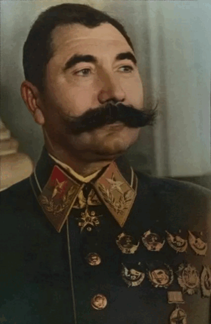 i (10)_Nero_AI_Face_Animation.gif