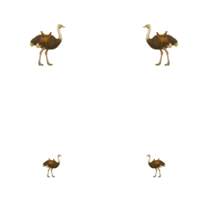 Egyptian_Ostrich.png