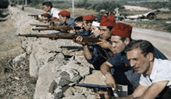 010-010_Rep_Inf.png