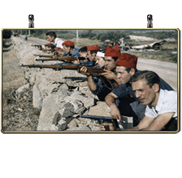 010-010_Rep_Inf.png