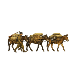 TR_Mule_train.png