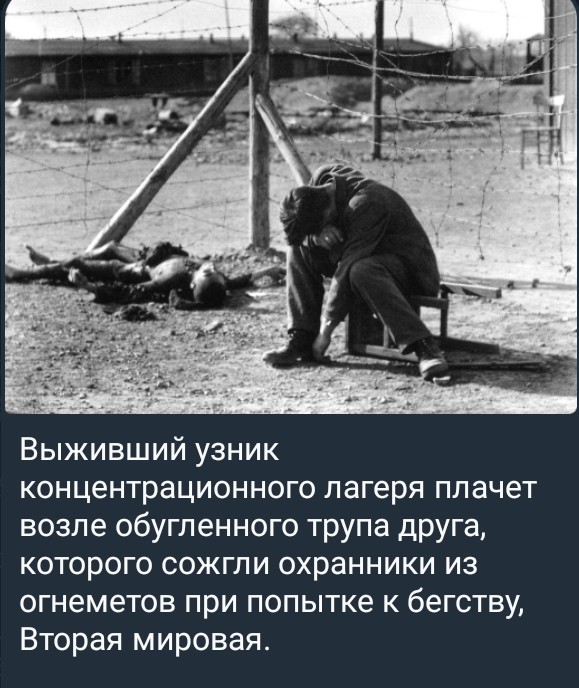 Screenshot_2026-05-11-05-12-03-581_org.telegram.messenger-1.jpg