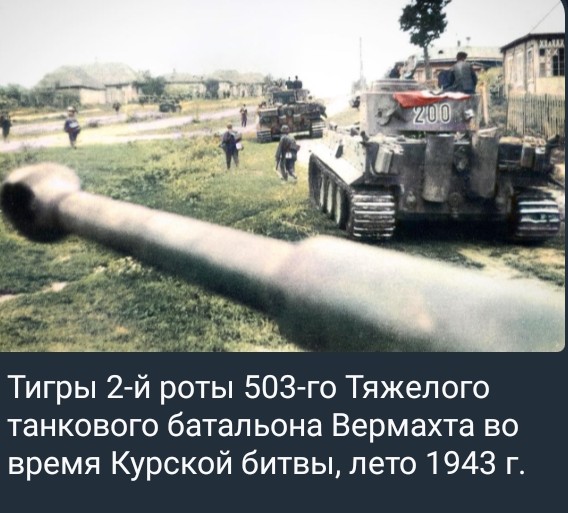 Screenshot_2026-05-17-19-09-35-178_org.telegram.messenger-1.jpg