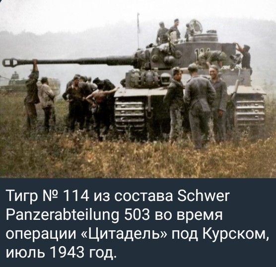Screenshot_2026-05-27-19-47-41-486_org.telegram.messenger_1.jpg
