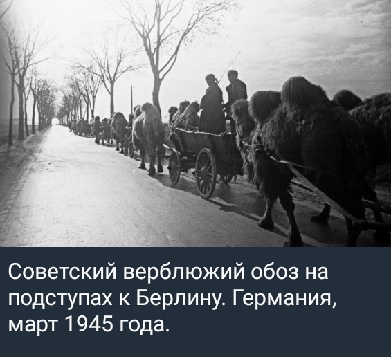 Screenshot_2026-05-29-23-51-03-862_org.telegram.messenger_1.jpg