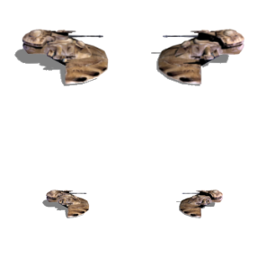 AAT.png