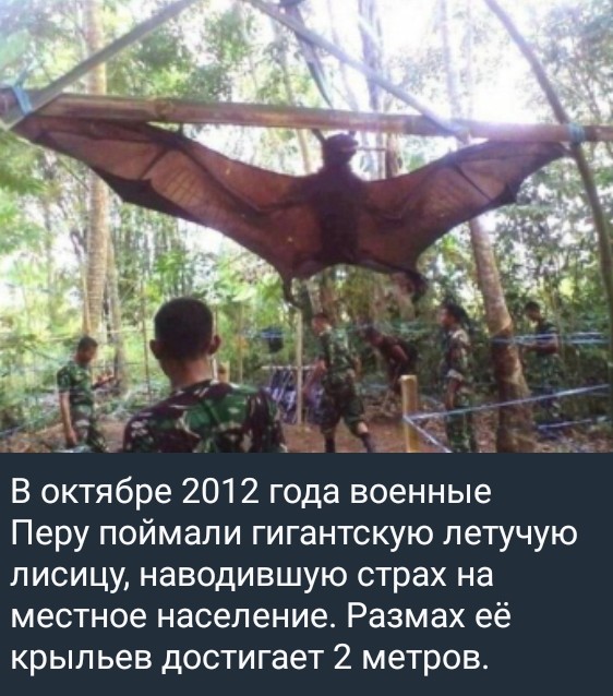 Screenshot_2026-07-02-21-54-50-127_org.telegram.messenger_1.jpg