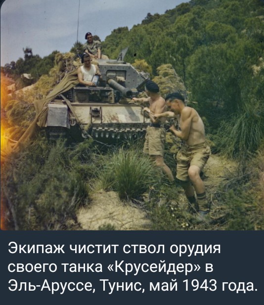 Screenshot_2026-07-03-23-13-22-798_org.telegram.messenger_1.jpg