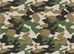 Camo_Skin_Thumb.png