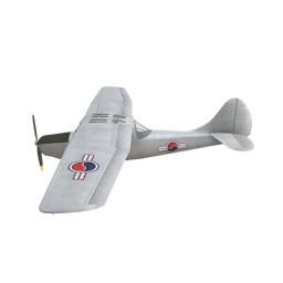 ROK_L_19_Bird_Dog.png