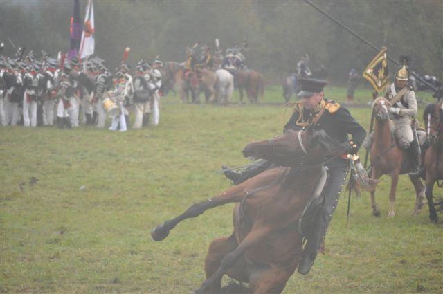 horse shot.JPG