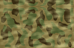 This is the thumbnail of the cammo pattern McGubba used in his mod and the one I used to skin the units per PHCAS request most recently
