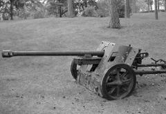 12cm_Pak.png