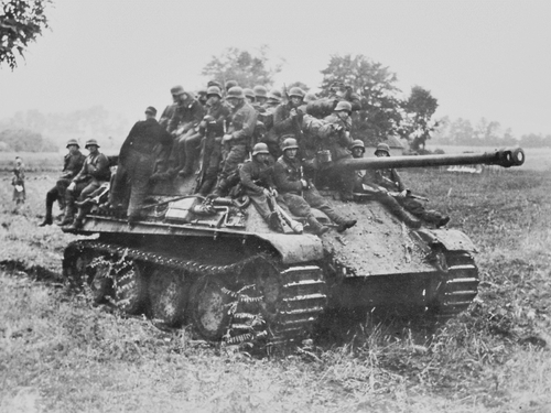 Panther.jpg