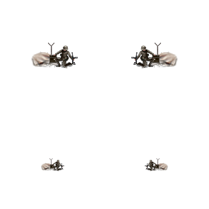 German_SA.png