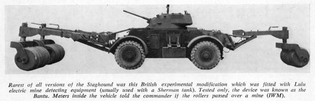 British Staghound Bantu.jpg