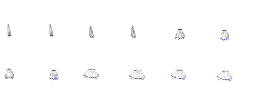 Parachuted.png