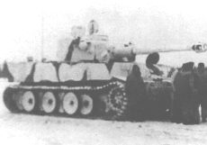 Tiger_I_winter.png