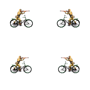 IJA_BicycleInf.png