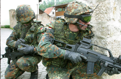Ger_Inf.png
