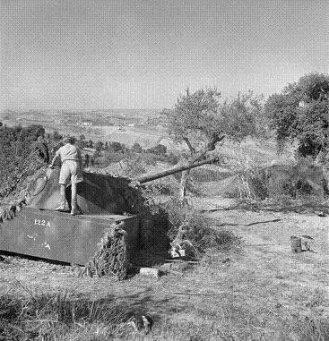 Pantherstellung.jpg