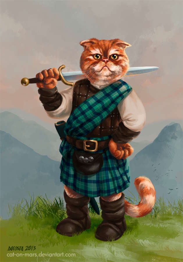 highland_cat_looking_for_a_mouse.jpg