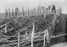 wirefields.jpg