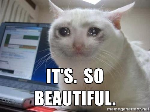 crying-cat-its-so-beautiful.jpg