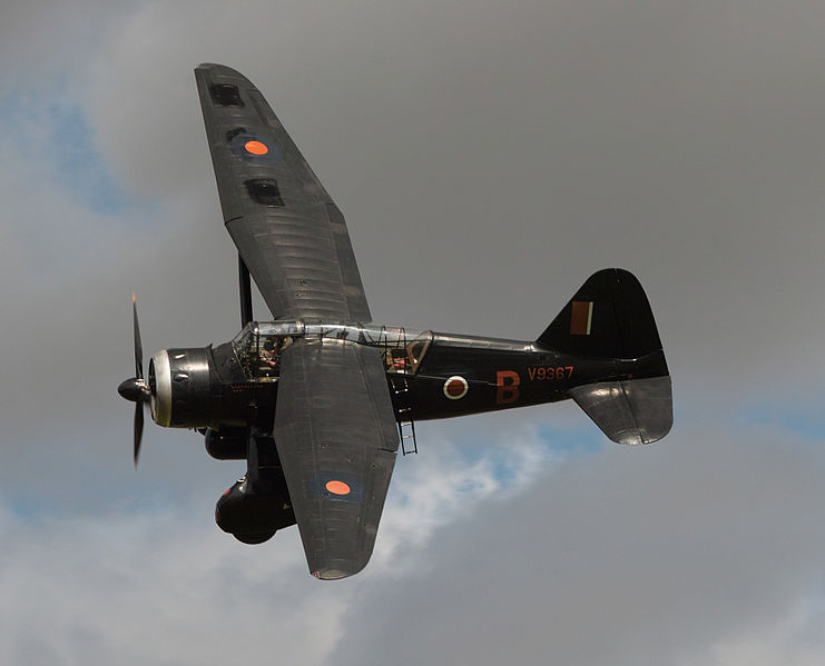741px-Lysander_5_Aug_2012_a.jpg