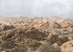 terrain_rough_desert.png