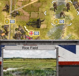 rice.jpg