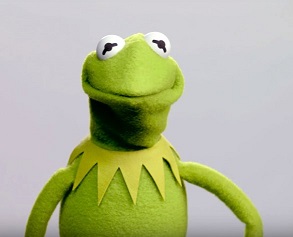 frog.jpg