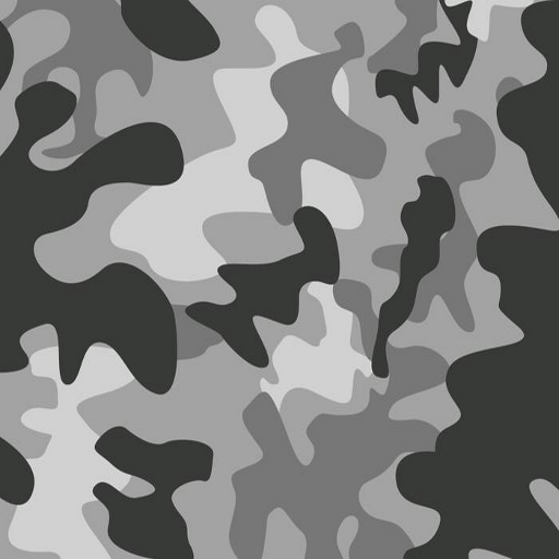 Grey camo_land_germany.png