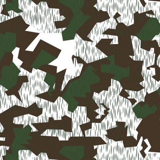 winter camo_land_germany.png