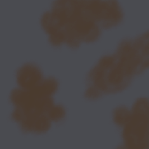 Early Camouflage (39 - 40).png