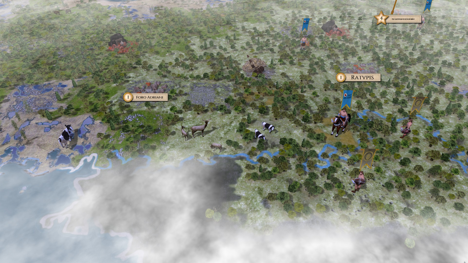 cows.jpg