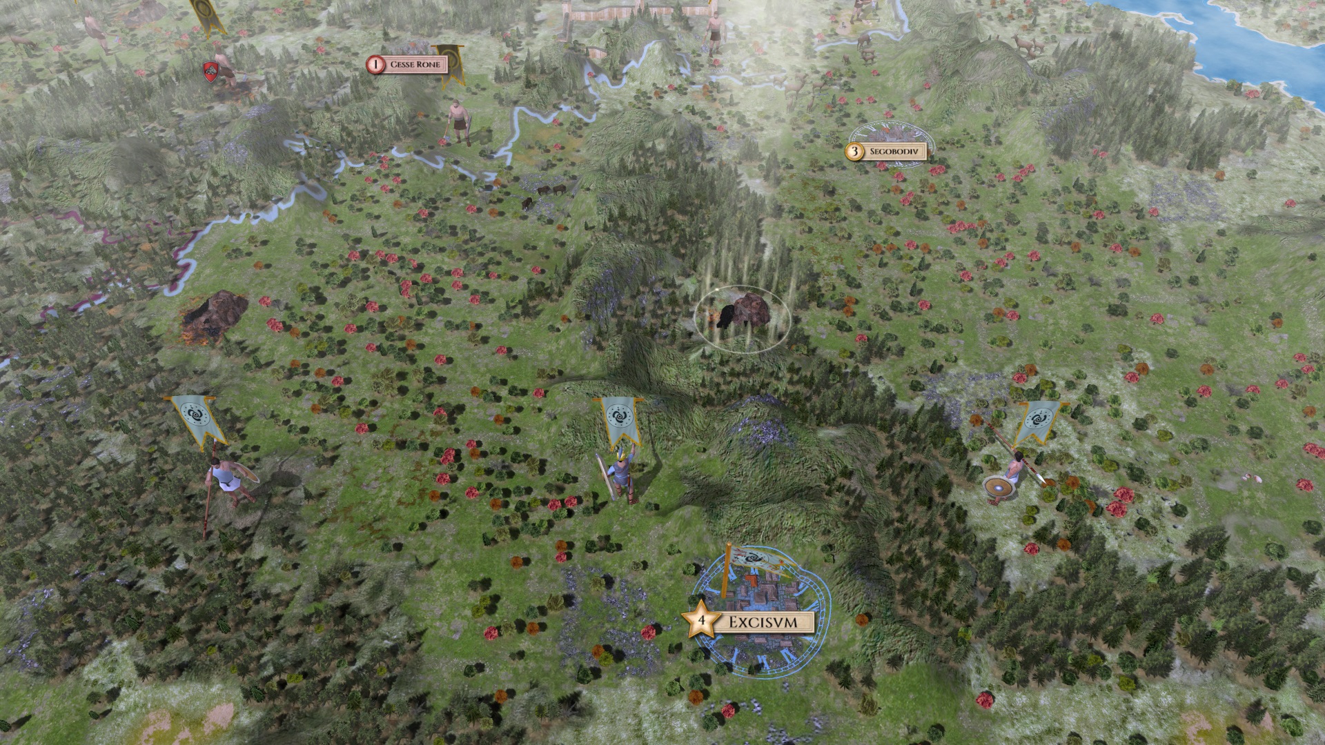 darkwoods.jpg
