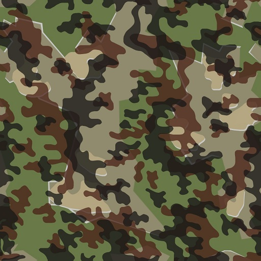 autumn camo_land_germany.png
