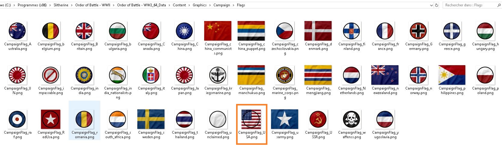 CampaignFlags.JPG