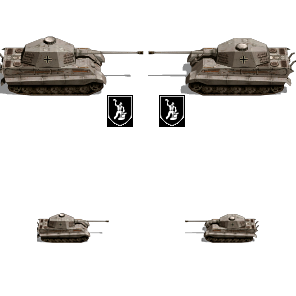 507.Tiger II Grey.png