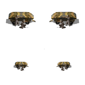 GDBP.png